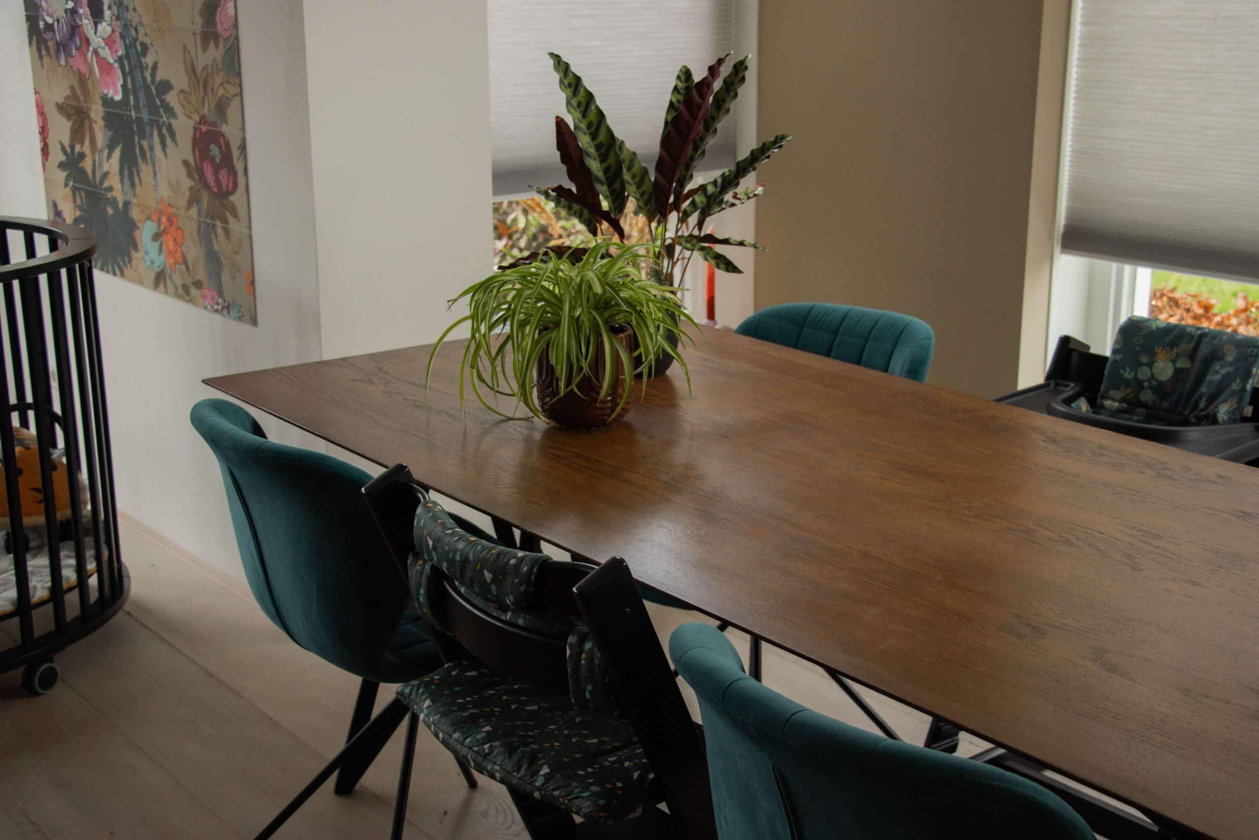 FvD_TPO_olien20231218-29